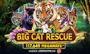 Imagem do jogo Big Cat Rescue Megaways da 2abet